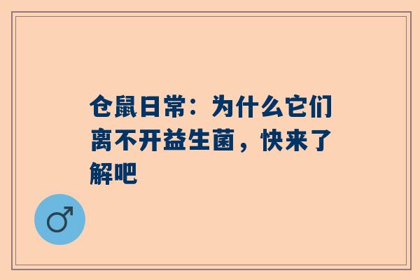 仓鼠日常：为什么它们离不开益生菌，快来了解吧
