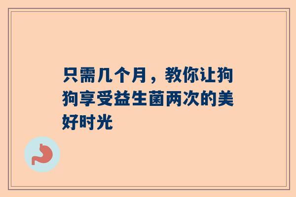 只需几个月，教你让狗狗享受益生菌两次的美好时光