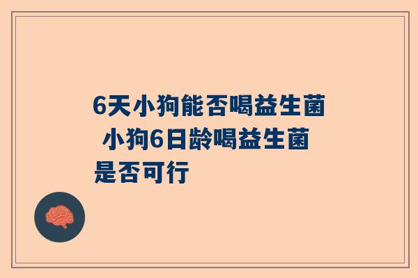 6天小狗能否喝益生菌 小狗6日龄喝益生菌是否可行
