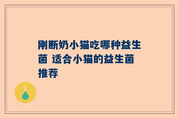 刚断奶小猫吃哪种益生菌 适合小猫的益生菌推荐