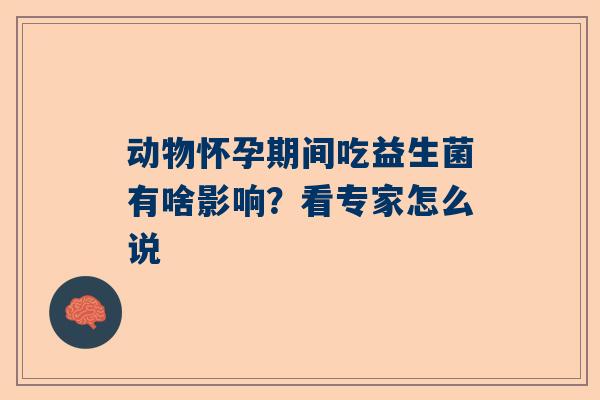 动物怀孕期间吃益生菌有啥影响？看专家怎么说