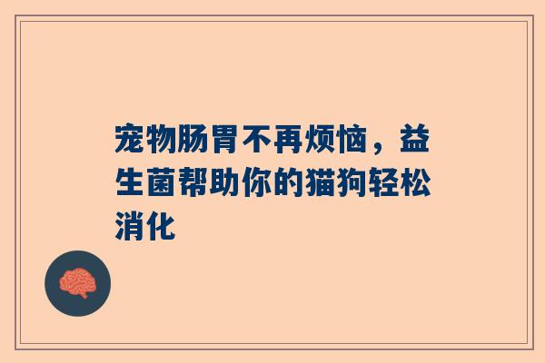 宠物肠胃不再烦恼，益生菌帮助你的猫狗轻松消化