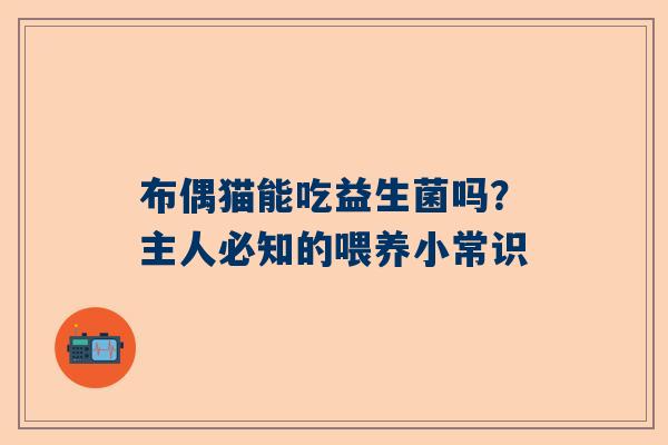 布偶猫能吃益生菌吗？主人必知的喂养小常识