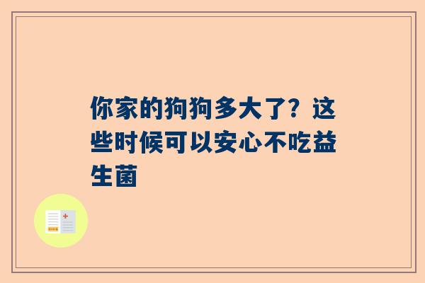 你家的狗狗多大了？这些时候可以安心不吃益生菌