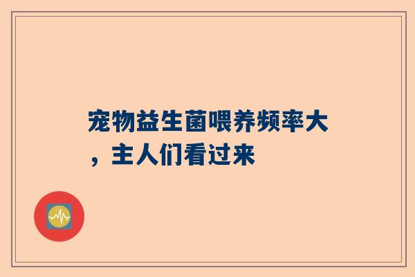 宠物益生菌喂养频率大，主人们看过来