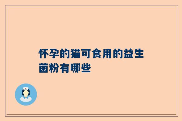 怀孕的猫可食用的益生菌粉有哪些