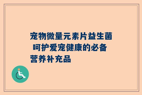 宠物微量元素片益生菌 呵护爱宠健康的必备营养补充品