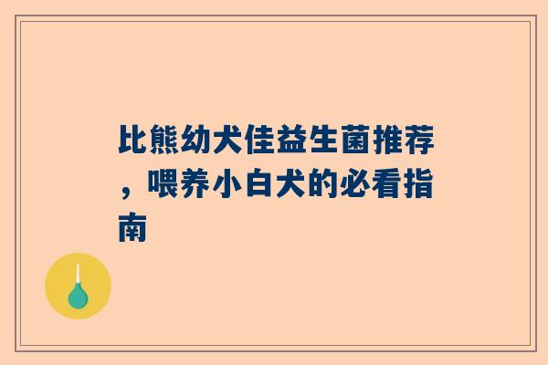 比熊幼犬佳益生菌推荐，喂养小白犬的必看指南