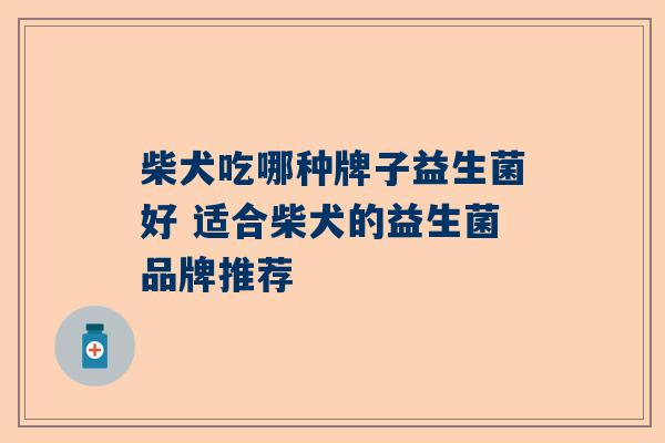 柴犬吃哪种牌子益生菌好 适合柴犬的益生菌品牌推荐