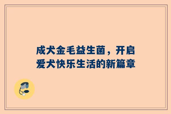 成犬金毛益生菌，开启爱犬快乐生活的新篇章