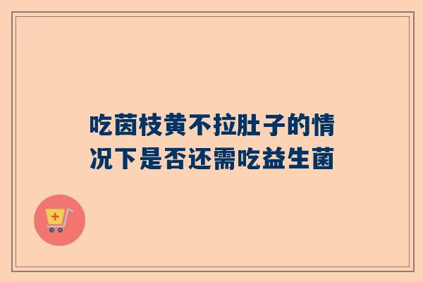 吃茵枝黄不拉肚子的情况下是否还需吃益生菌
