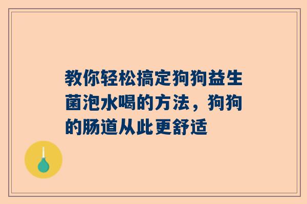 教你轻松搞定狗狗益生菌泡水喝的方法，狗狗的肠道从此更舒适
