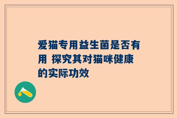 爱猫专用益生菌是否有用 探究其对猫咪健康的实际功效