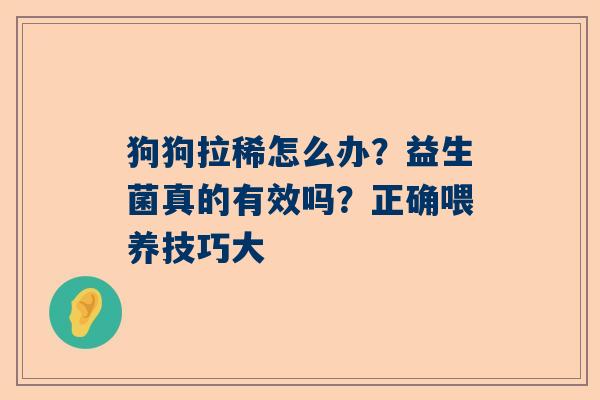 狗狗拉稀怎么办？益生菌真的有效吗？正确喂养技巧大