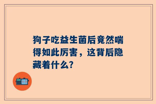 狗子吃益生菌后竟然喘得如此厉害，这背后隐藏着什么？