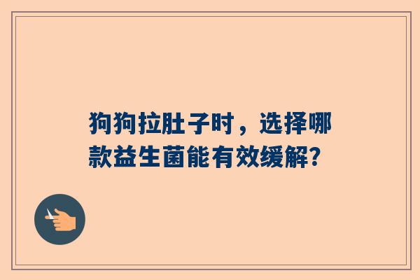 狗狗拉肚子时，选择哪款益生菌能有效缓解？