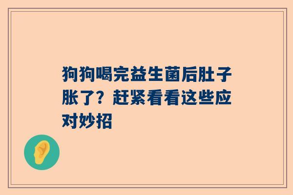 狗狗喝完益生菌后肚子胀了？赶紧看看这些应对妙招