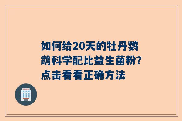如何给20天的牡丹鹦鹉科学配比益生菌粉？点击看看正确方法
