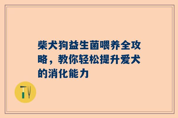 柴犬狗益生菌喂养全攻略，教你轻松提升爱犬的消化能力