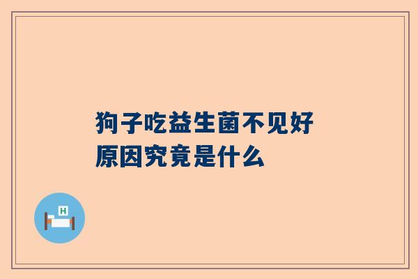 狗子吃益生菌不见好 原因究竟是什么