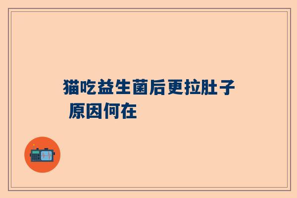 猫吃益生菌后更拉肚子 原因何在