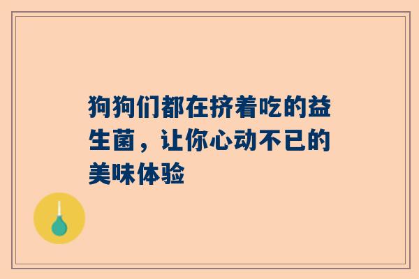狗狗们都在挤着吃的益生菌，让你心动不已的美味体验