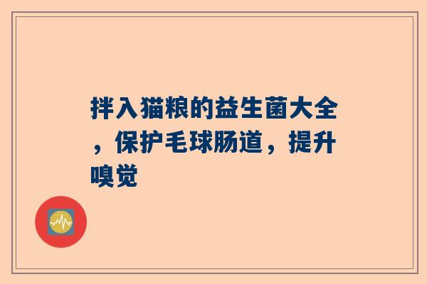 拌入猫粮的益生菌大全，保护毛球肠道，提升嗅觉