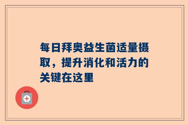 每日拜奥益生菌适量摄取，提升消化和活力的关键在这里