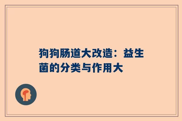 狗狗肠道大改造：益生菌的分类与作用大