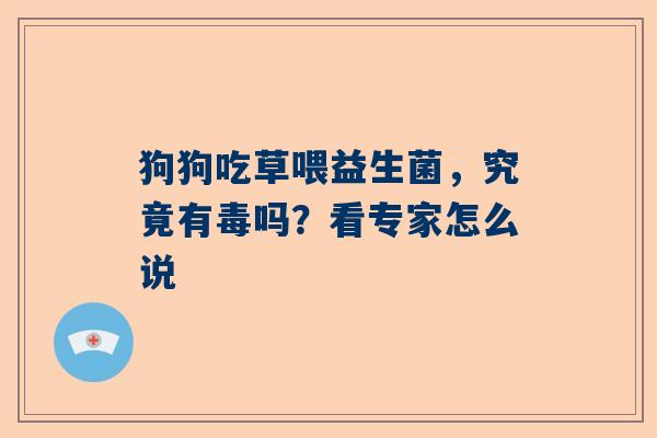 狗狗吃草喂益生菌，究竟有毒吗？看专家怎么说