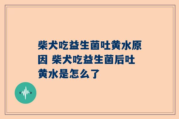 柴犬吃益生菌吐黄水原因 柴犬吃益生菌后吐黄水是怎么了