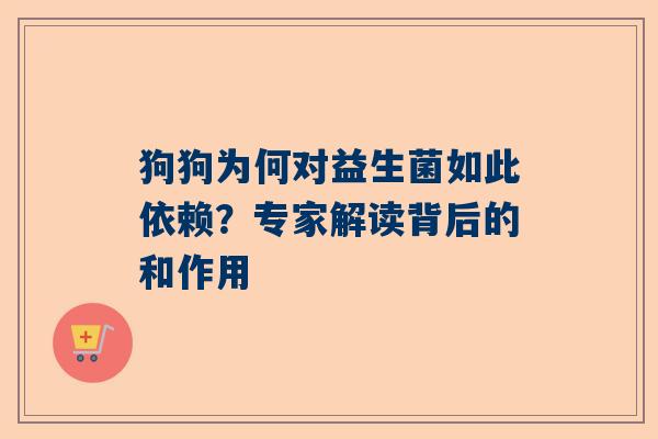 狗狗为何对益生菌如此依赖？专家解读背后的和作用