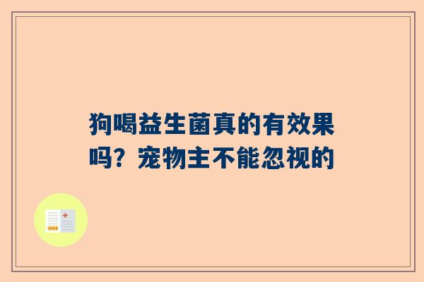 狗喝益生菌真的有效果吗？宠物主不能忽视的