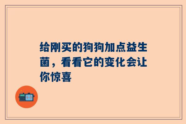 给刚买的狗狗加点益生菌，看看它的变化会让你惊喜