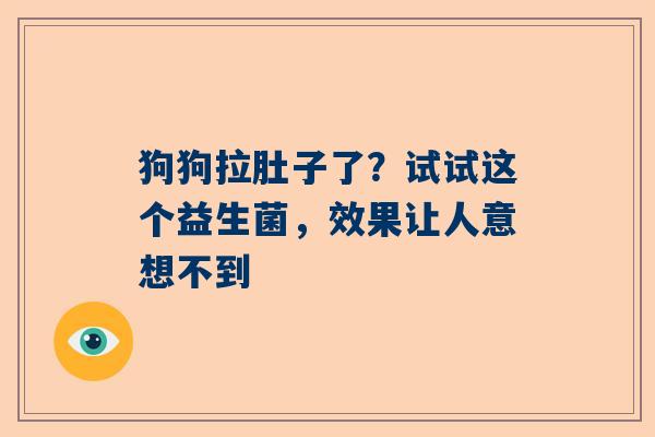 狗狗拉肚子了？试试这个益生菌，效果让人意想不到