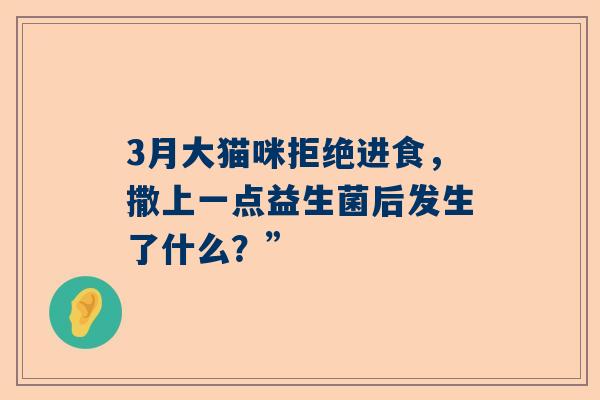 3月大猫咪拒绝进食，撒上一点益生菌后发生了什么？”