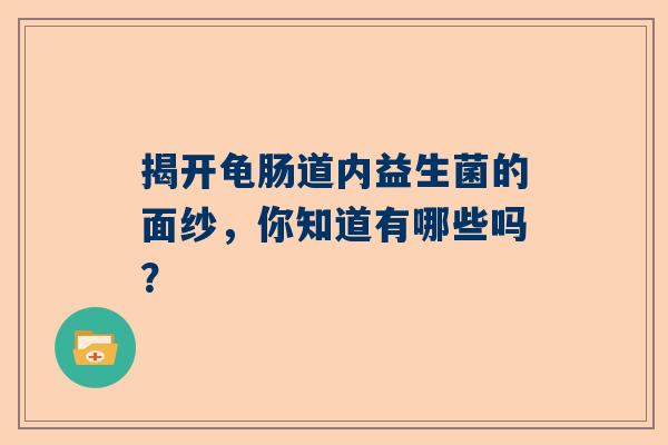 揭开龟肠道内益生菌的面纱，你知道有哪些吗？