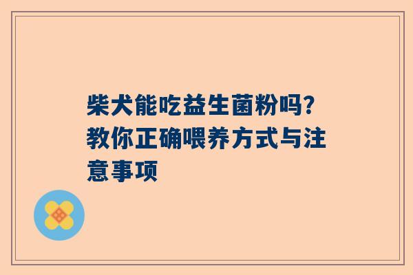 柴犬能吃益生菌粉吗？教你正确喂养方式与注意事项