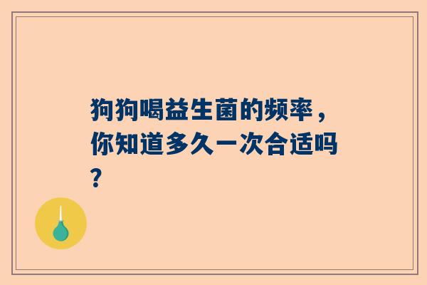 狗狗喝益生菌的频率，你知道多久一次合适吗？