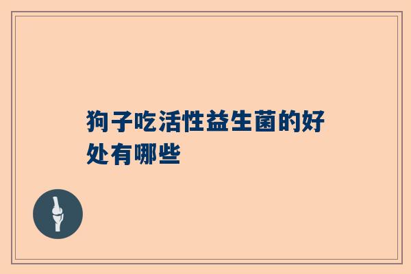 狗子吃活性益生菌的好处有哪些