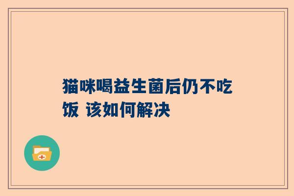 猫咪喝益生菌后仍不吃饭 该如何解决