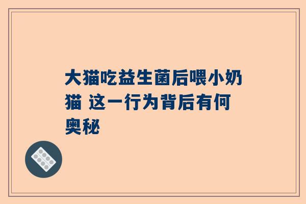 大猫吃益生菌后喂小奶猫 这一行为背后有何奥秘