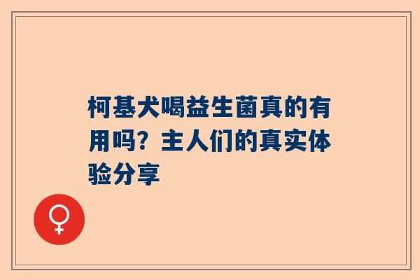 柯基犬喝益生菌真的有用吗？主人们的真实体验分享