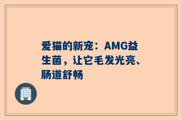 爱猫的新宠：AMG益生菌，让它毛发光亮、肠道舒畅