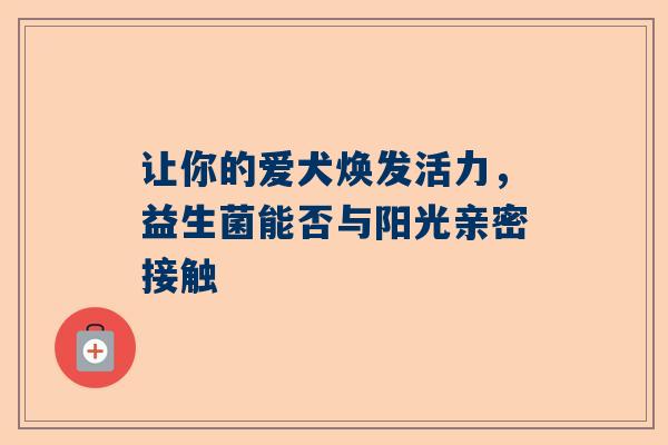 让你的爱犬焕发活力，益生菌能否与阳光亲密接触