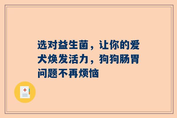 选对益生菌，让你的爱犬焕发活力，狗狗肠胃问题不再烦恼