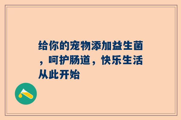 给你的宠物添加益生菌，呵护肠道，快乐生活从此开始