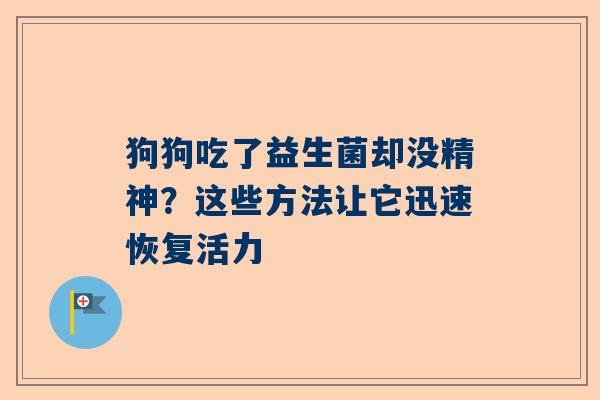 狗狗吃了益生菌却没精神？这些方法让它迅速恢复活力