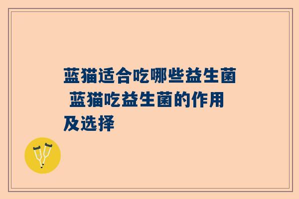 蓝猫适合吃哪些益生菌 蓝猫吃益生菌的作用及选择
