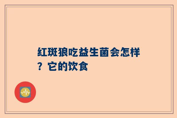 红斑狼吃益生菌会怎样？它的饮食